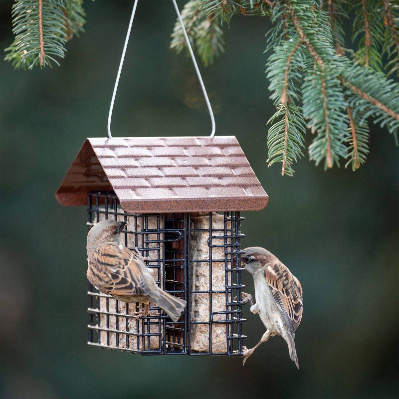 More Birds 2 Cake Suet Feeder with Weather Guard, 3 of 4