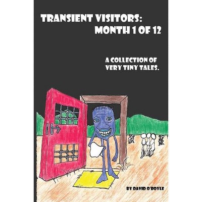 Transient Visitors - by  David O'Boyle (Paperback)