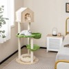 Angel Sar 55 Inch Tall Cat Climbing Stand with Sisal Scratching Posts, 5-Tier Cat Tree with Condo, Hammock & Soft Bed, Pine Wood Frame for Kittens - 2 of 4
