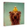 Stupell Industries Wet Dog with a Rubber Ducky, 30" x 30" - 3 of 4