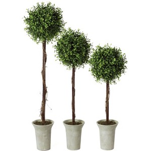 Sullivans Artificial 22", 25" & 30"Boxwood Topiary Tree - Set of 3 - 1 of 3