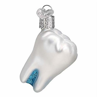Old World Christmas Glass Blown Ornament For Christmas Tree, Tooth