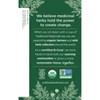 Traditional Medicinals Organic Peppermint Herbal Tea - 16ct - 3 of 4