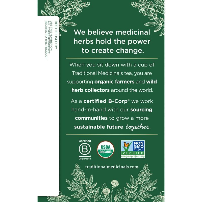Traditional Medicinals Organic Peppermint Herbal Tea - 16ct, 4 of 9