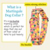 Country Brook Petz Martingale Dog Collar - Tasty Collection - 2 of 4