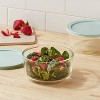 4-Cup Glass Food Storage Set – Vida by PADERNO