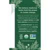 Traditional Medicinals Raspberry Leaf - 3 of 4