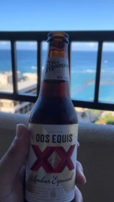 Dos Equis Ambar Mexican Lager Beer - 6pk/12 fl oz Bottles : Target