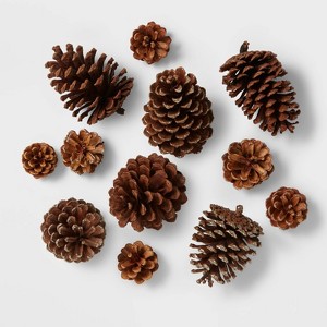 12ct Cinnamon Scented Pinecone Christmas Decorative Filler Natural/Glitter - Wondershop™ - 1 of 3