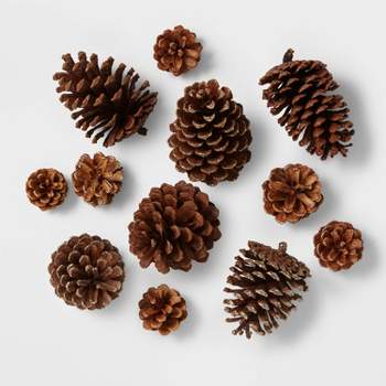 12ct Cinnamon Scented Pinecone Christmas Decorative Filler Natural/Glitter - Wondershop™