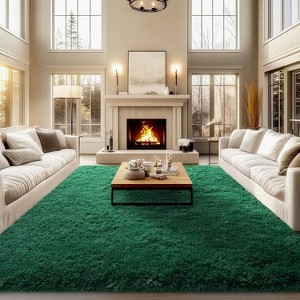 Area Rugs for Living Room Bedroom, Non-Slip Fluffy Soft Shag Carpet for Kids Home Dorm Decor - 1 of 4