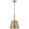 Nuvo Lighting Alexis 1 - Light Pendant in  Burnished Brass/Gold - 2 of 4