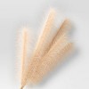 Pampas Artificial Stem - Threshold™ - 3 of 3