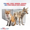 LifeSupplyUSA Heavy Duty Catch Release Live HumaneAnimal Cage Trap - 3 of 4