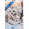 Trends International Keith Kimberlin - Momma and Kitten Unframed Wall Poster Prints - 3 of 4