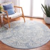 Adirondack ADR101 Non-Shedding Power Loomed Indoor Rugs - Safavieh - 2 of 3