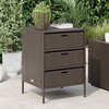 vidaXL Patio Storage Cabinet Tool Organizer Outdoor Furniture Poly Rattan - 2 of 4