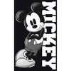 Juniors Womens Mickey & Friends Retro Leaning Mineral Wash Crop T-Shirt - 2 of 4