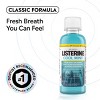 Listerine Cool Mint Antiseptic Mouthwash - 4 of 4