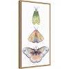 Amanti Art Moth Fairies II by Grace Popp Canvas Wall Art Print Framed 14 x 27-in. - 3 of 4