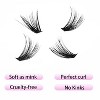Cluster Lashes 240pcs 40D DIY Eyelash Extension D Curl Extensions 0.07 0.10 Black (40D-0.07D-9-16mm) - 3 of 4