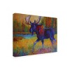 Marion Rose 'Majestic Moose' Canvas Art - 4 of 4