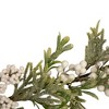 Northlight 5' x 10" White Berry and Frosted Pine Christmas Garland, Unlit - 3 of 3