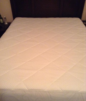 Sealy Pure Luxury Mattress Pad : Target