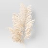 Pampas Grass Reed Stem Arrangement Beige - Threshold™ - image 3 of 4