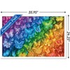 Trends International Brigid Ashwood - Rainbow Butterflies Framed Wall Poster Prints - 3 of 4