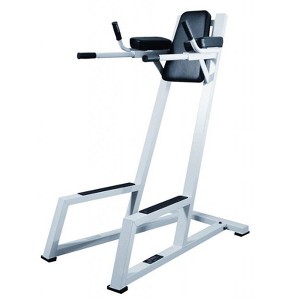 York Vertical Knee Raise With Dip Strength Training Equipment for Home and Gym Workouts - 1 of 1