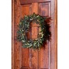 20" Artificial Olive Wreath - Nearly Natural - image 3 of 4