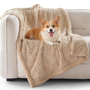 Waterproof Pet Blanket, Ultra-Soft Reversible Flannel Fleece Throw for Dogs & Cats, Machine Washable Furniture Protector for Couch, Bed, Car - 1 of 4