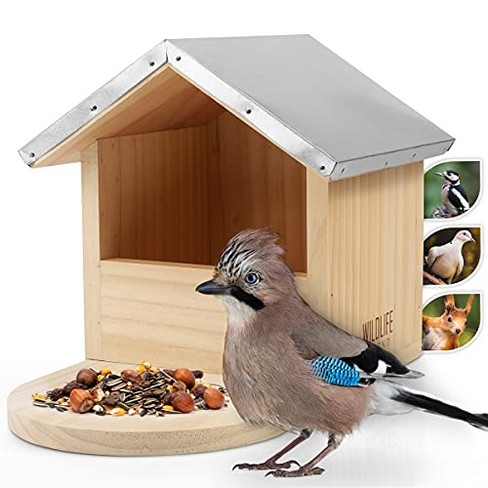 Pawbee Window Bird Feeder - Clear Window Bird Feeders With Strong Suction  Cups - Suction Cup Bird Feeder Window With Drain Holes For Rain : Target
