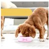 Noa Store Non-Slip Feeding Station Plastic Dog Bowls-Pink - 4 of 4