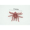 Collectible Wildlife Gifts | Spider,  Rubber Insect, Educational, Realistic Hand Painted,  Model,   Gift,     2"   US17 B44 - 2 of 4