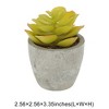 Unique Bargains Artificial Plants Dinteranthus in Mini Pulp Plastic Green 2.56"x2.56"x3.35" 1 Pcs - 3 of 4