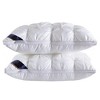 Dr Pillow Hybrid Ice Pillow Cases set of 2 - 2 of 4