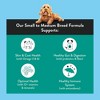 NOOD Pet Food Small Breed Dry Dog Food with Chicken Flavor - 6lbs - 2 of 4