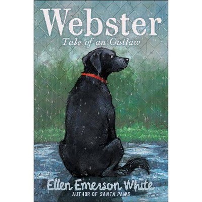 Webster - by  Ellen Emerson White (Paperback)