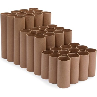 48 Pack Cardboard Tubes, Empty White Toilet Paper Rolls for Crafts,  Classroom, DIY Projects (1.6 x 4 In)