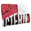 Northeastern University Fan Zone Silky Touch Super Soft Throw Blanket 50x60 - 3 of 4