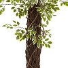 HomeStock  7.5 ft. Artificial Ficus Tree in Pot for Indoor/Outdoor - 3 of 4