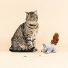 PetShop by Fringe Studio One Tuff Nut Teaser Plush Cat Toy - 4 of 4