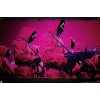 Trends International Netflix Squid Game: Season 2 - Red Guards Unframed Wall Poster Prints - 4 of 4