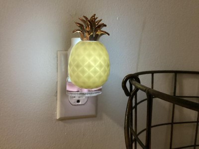 Guest review image 2 of 2, zoom in