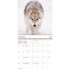 Trends International 2025 Wolves Wall Calendar: Monthly Art, 12x12 Inches, Saddle Stitch Binding, All Ages, Multicolored - 2 of 4