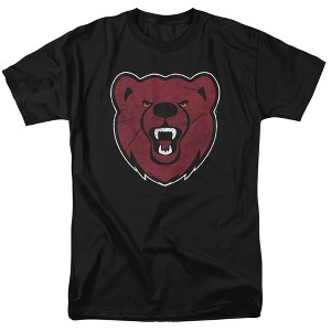 Men's Ursinus College Official Distressed Primary Logo T-Shirt Ursinus College - 1 of 4