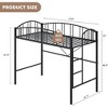 Loft Bed/Bunk Bed Twin Size with Ladde and Arched Guardrail, Heavy Duty Metal Bed Frame for Kids and Adults, Small Space Saving Design - 2 of 4