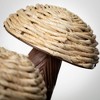 Sullivans Wood Mushroom Set of 2, 8.5"H & 5.75"H; Brown - 2 of 3